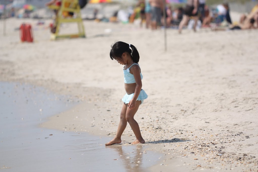 IMAGE: http://lh5.ggpht.com/_w9jT_GnjZSc/S6vNDq9DVTI/AAAAAAAAARg/Sx-uXZmKvz8/s1024/IMG_4847.JPG