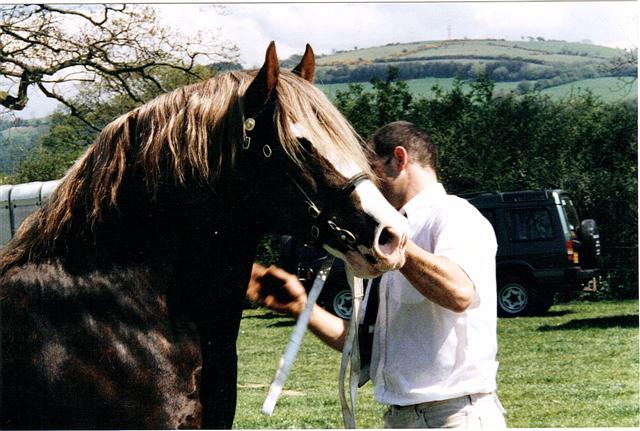 Lloyd Newydd Lloyd @ Lampeter