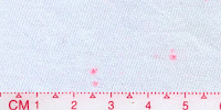Blue_Pink1x2