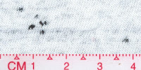 DOT-0035Bleached_Black