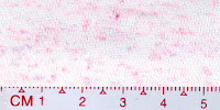 DOT-0016(BLEACHED BY BUYER)