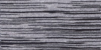 ZEBRA0008