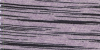 ZEBRA0029