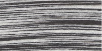 ZEBRA0040