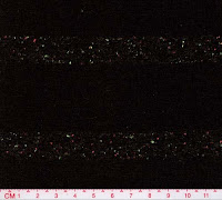 NEP-0126W-NE20-KKA-081