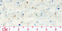 NEP-0097K(Raw white product)