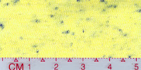 COOL-0026 (Bleached by buyer)