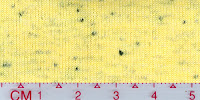 COOL-0027 (Bleached by buyer)