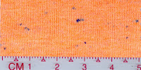 COOL-0032 (Bleached by buyer)