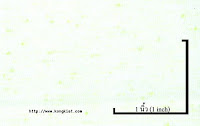 NEP-0124U<br />
(Bleached-Green Luminous1x2)