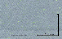 NEP-0124U<br />
(Grey KKZ156-1-Green Luminous1x0)