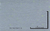 NEP-0124U<br />
(Grey KKZ156-1-Green Luminous1x3)