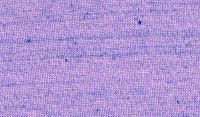 1:EEL x0:cotton :: EEL108x8M :: color code:KK1763 :: disperse=blue :: reactive=puple