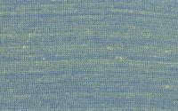 1:Tribenx1:T/R  :: Triben006x02  Color Code : KK1753 Disperse : blue ::reactive : yellow.