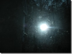 DSCN5049