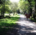 Travels Slideshow