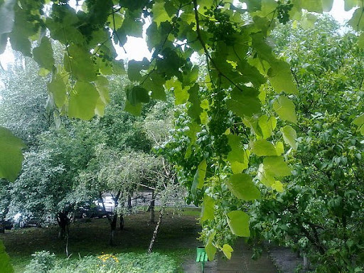 Twitpic. Часть вторая