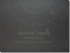 SDC10353