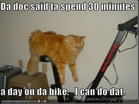 funny-pictures-cat-excercise-bike