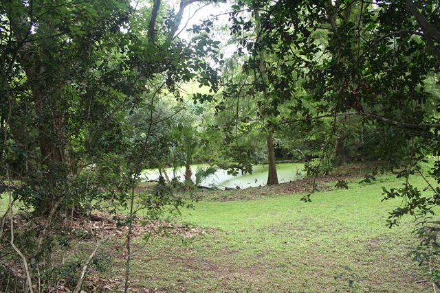 [roadtrip2009110.jpg]