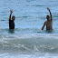 Dans les vagues