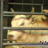 expo 052.jpg