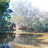 DSC_0078.JPG