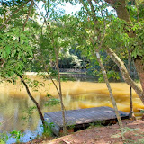 DSC_0119.JPG