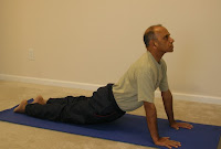 Urdhva-mukha-shvanasana (Upward Facing Dog)