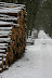IMG 0736 Fotoalbum