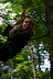 IMG 2888 Fotoalbum