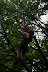 IMG 2933 Fotoalbum