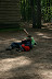 IMG 3023 Fotoalbum