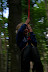 IMG 3011 Fotoalbum
