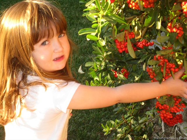 [Nov18_Berries2.jpg]