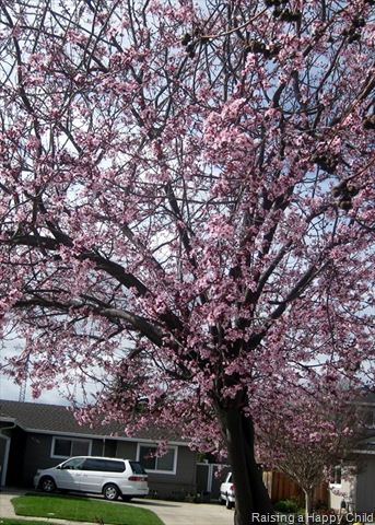 [Feb27_Spring[2].jpg]