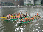St Patrick's Day frolicks