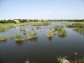Aan de overkant &eacute;&eacute;n van de vele golfbanen hier.
