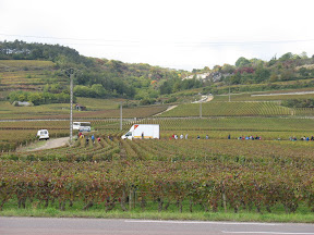 Busladingen plukkers kwamen er aan.