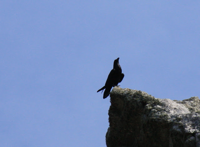 Zat ook weer hoog te krassen.