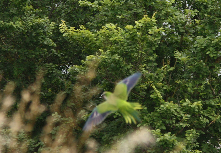 De hele dag om ons heen.