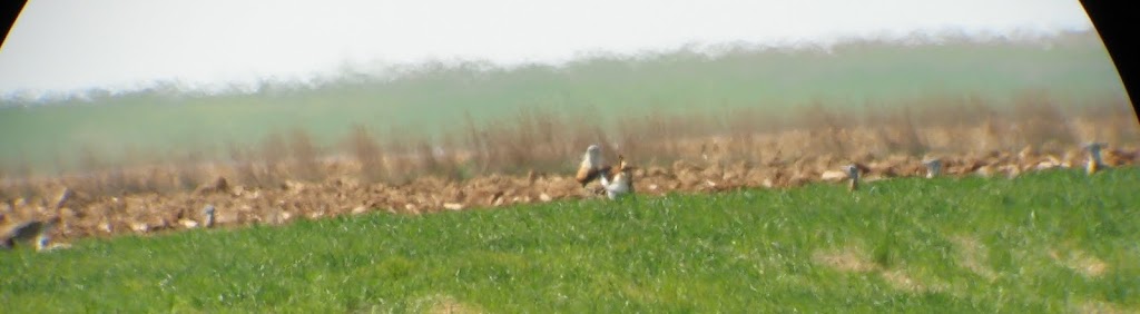 Moeilijk te fotograferen.