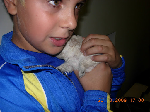 С добрым утром!