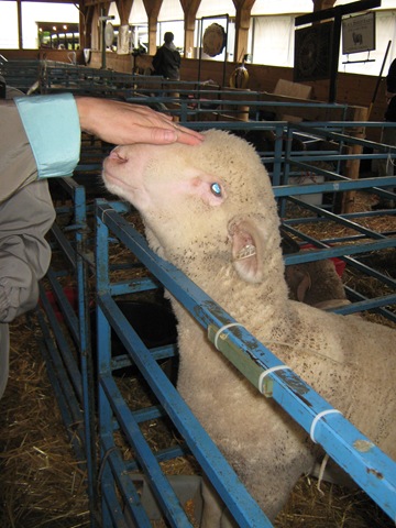 [MD SandW May 2009 011[2].jpg]