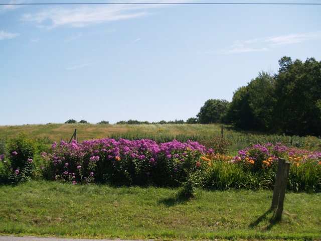 [MaineAugust20091349.jpg]