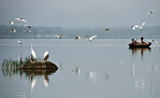 Posted Image