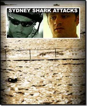 sharkattacks2-300x368