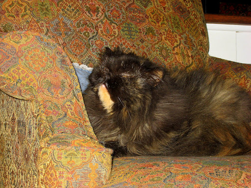 rude people qoutes rude people qoutes