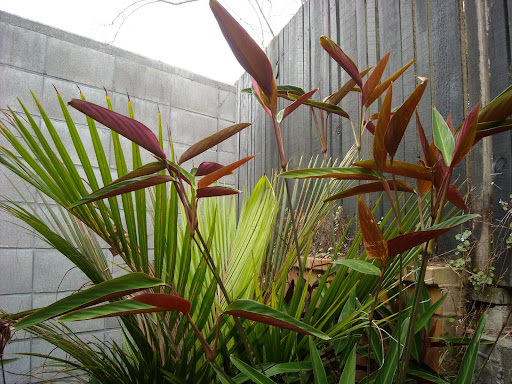 026.JPG
