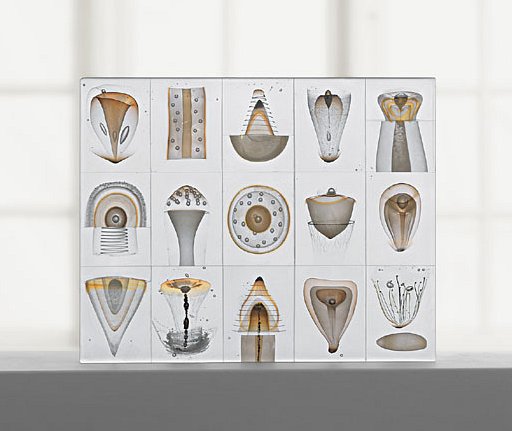 神秘的な海洋生物をグラスパック(Steffen Dam Glass)